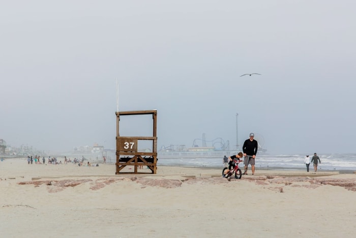 Before you head to Galveston Beach, beware of these sea creature